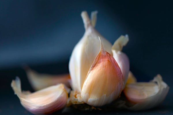 How to use a garlic press