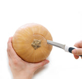 Zyliss 3 in 1 Squash or Pumpkin Peeling, Carving & Scooping Tool