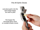 Zyliss Susi 3 Garlic Press - With Built in Cleaner - Crusher, Mincer and Peeler, Cast Aluminum